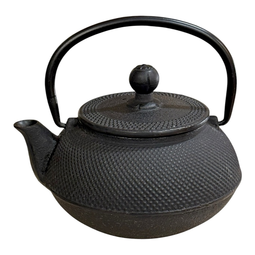 Teaology Cast Iron Teapot with Stainless Steel Infuser (600ml/20oz)